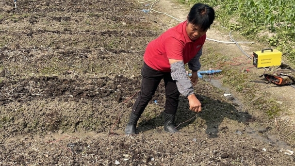 Chuyên gia Trung Quốc hiến kế bảo vệ giun đất khỏi nạn kích điện