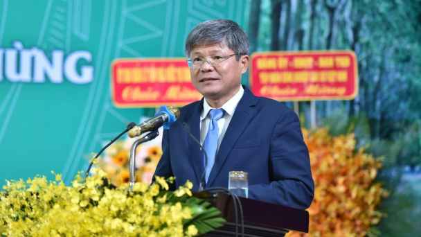 94 năm ngành cao su Việt Nam: Tiếp nối những trang sử hào hùng