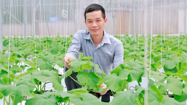 Thường Tín có thêm 14 sản phẩm OCOP