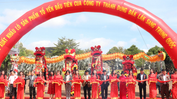Đắk Lắk xuất khẩu lô yến sào chính ngạch sang Trung Quốc
