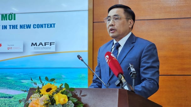 Giá trị sản xuất tăng bình quân 4,6% khi triển khai chiến lược lâm nghiệp