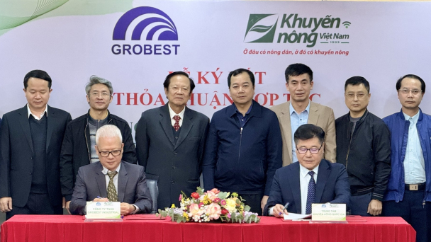Khuyến nông - doanh nghiệp hợp tác phát triển ngành tôm bền vững