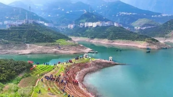 3.000 loài thực vật quý hiếm được trồng quanh hồ chứa Tam Hiệp