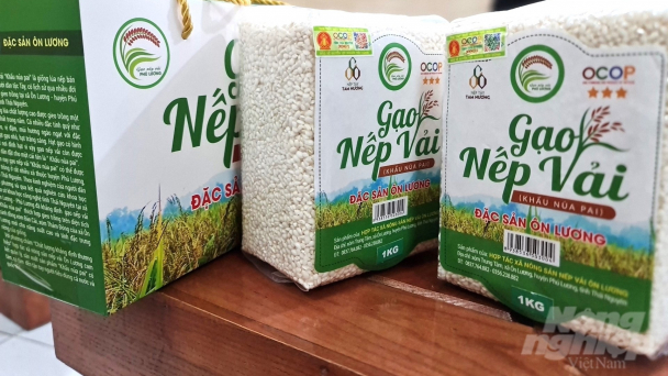 Phú Lương trù phú núi đồi: [Bài 2] Nhớ gạo nếp vải, nhớ chè Ôn Lương