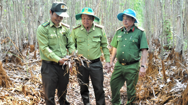 Kiên Giang 'báo động đỏ' với cháy rừng