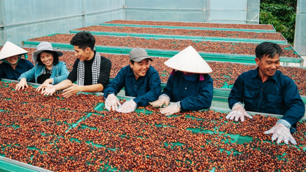 Đẩy mạnh xây dựng chuỗi liên kết sản xuất nông sản đạt chuẩn