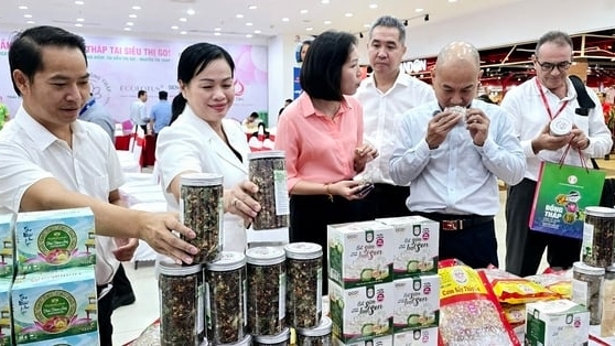 Tuần hàng sen Đồng Tháp tại siêu thị GO!