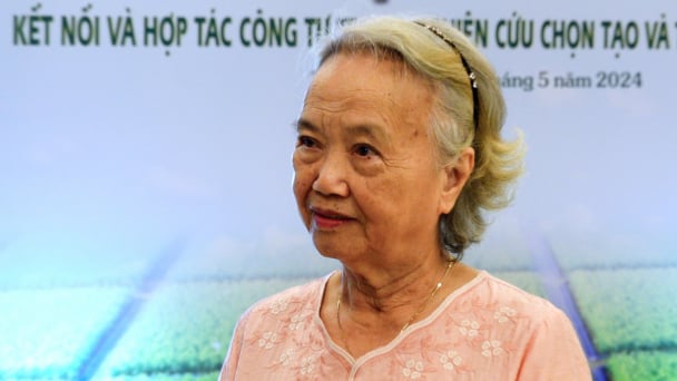 Nhà khoa học cần được hướng dẫn quy trình chuyển giao bản quyền giống lúa