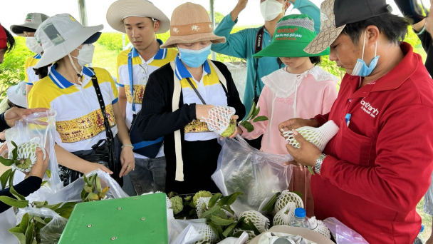 Mãng cầu Tây Ninh được đặc cách lưu hành