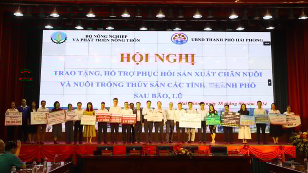 Hơn 160 tỷ đồng được Bộ NN-PTNT kêu gọi hỗ trợ thiệt hại do bão