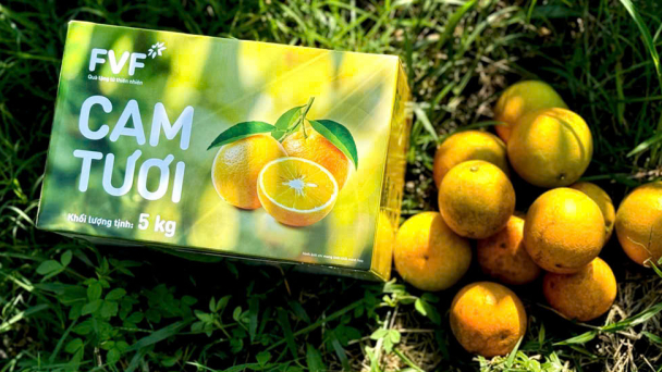 Công nghệ và giống đặc sản nâng tầm chất lượng cam tươi FVF