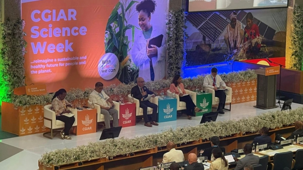 Mobilizing investment for sustainable food systems