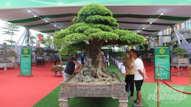 Building national brand for Vietnamese floriculture