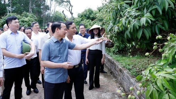 Agriculture and environment sector sees robust growth, exports surpass 21 billion USD