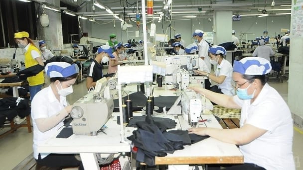U.S. tariff shock: What should Vietnamese businesses do?