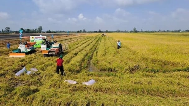 Vietnam to create supply source for carbon credit market