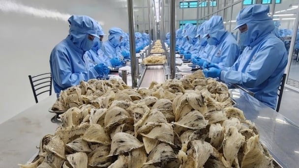 Bird's nest exports to China: Unlocking opportunities with new protocol