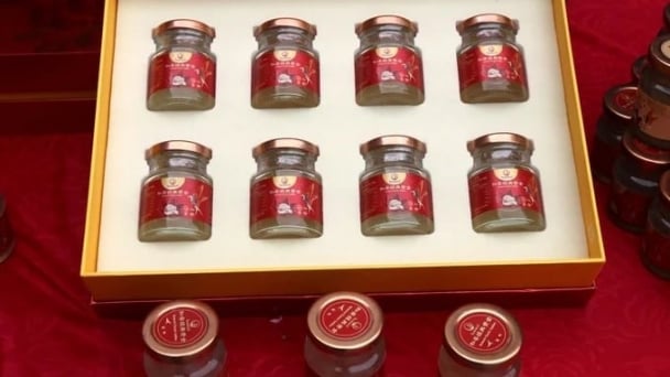 Bird's nest exports to China: Strengthening the value chain