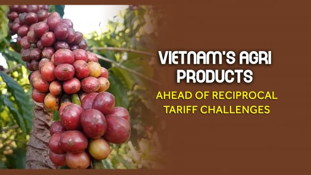 Evaluating market strategies for Vietnamese coffee