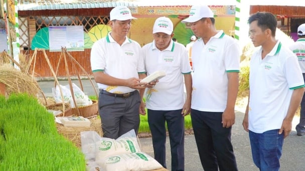 Green economy from Tram Chim's eco rice fields