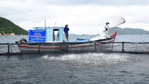 Vietnam’s aquatic resources have continuously declined