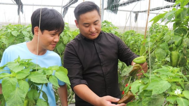 High-tech Vietnamese agricultural products reach the land of Kimchi