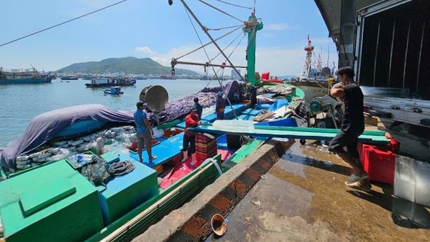 Lifting the IUU 'yellow card': [2] Thorough preparation for the EC inspection