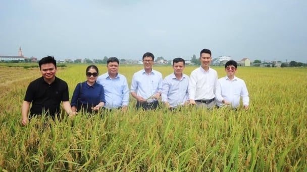 Vietnam-Japan strengthen ties to mobilize climate finance for low-emission rice