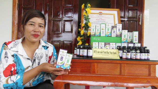 Linking medicinal plant cultivation with essential oil exports