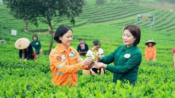 Vietnam proposes the establishment of a global OCOP product network