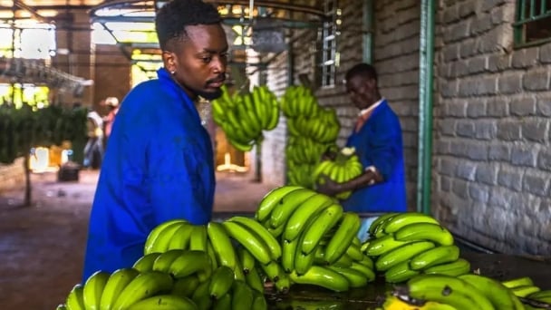 OCOP as a bridge to foster agriculture to tackle challenges