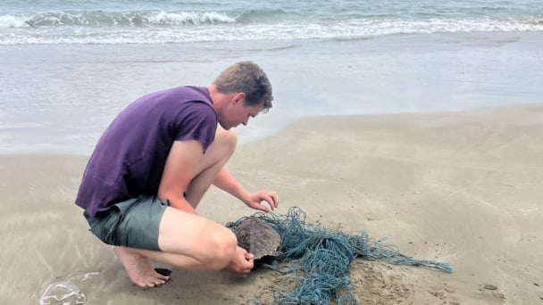 Con Dao drowning in plastic waste: [4] Prevent direct discharge into the sea
