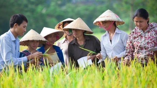 CropLife International pledges USD 13 million for responsible pesticide use