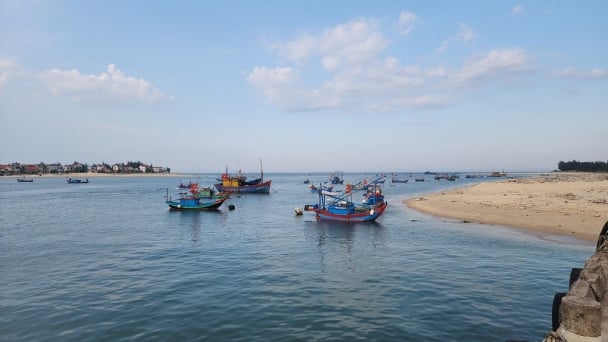 Thanh Hoa controls IUU in to sustain local fisheries sector