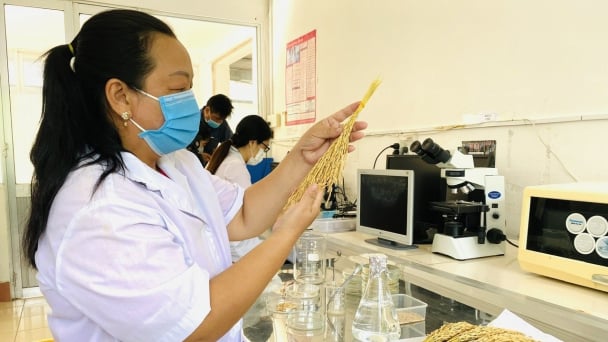 Golden opportunity for a breakthrough in science and technology