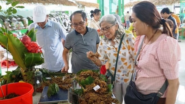 Paving the way for a national medicinal herb industry center