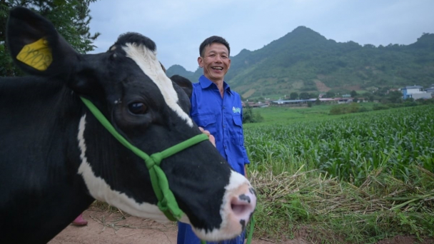 Warning of decline in dairy farming