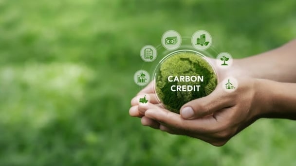 Develop regulations on the international transfer of emission reduction results