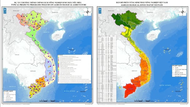 Transformation of agroecology and nature-based agriculture: The paradox of ‘thick policy - thin technology’