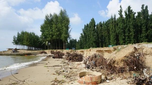 Vietnam pioneers action for global climate
