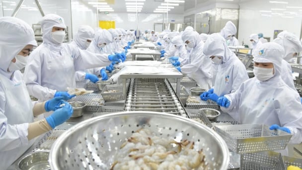 Vietnamese fisheries at strict EU threshold: Great potential but small market share