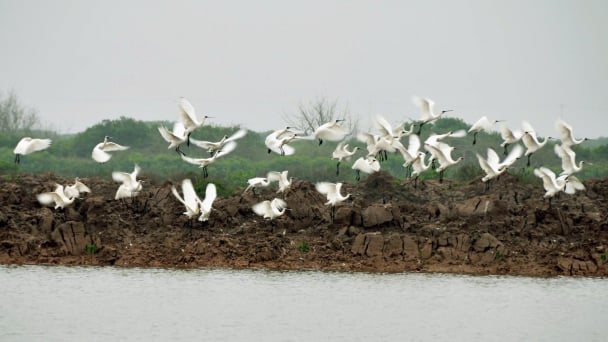 Vietnam adds 3 ASEAN heritage parks, 2 cities recognized for environment