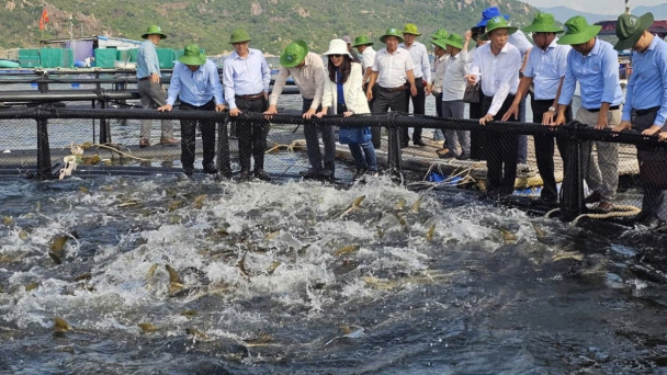 Khanh Hoa drives tech breakthroughs to become modern mariculture hub