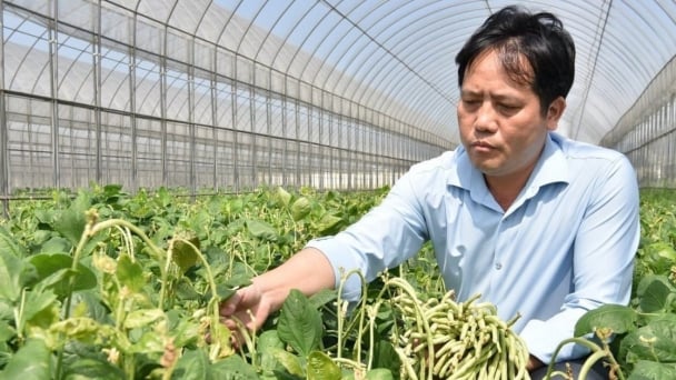 VACVINA, FCRI partner on science-tech transfer for garden economic development