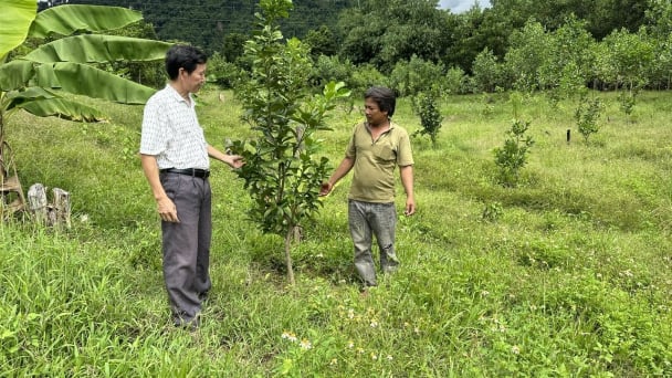 Trợ lực cho người dân miền núi thoát nghèo