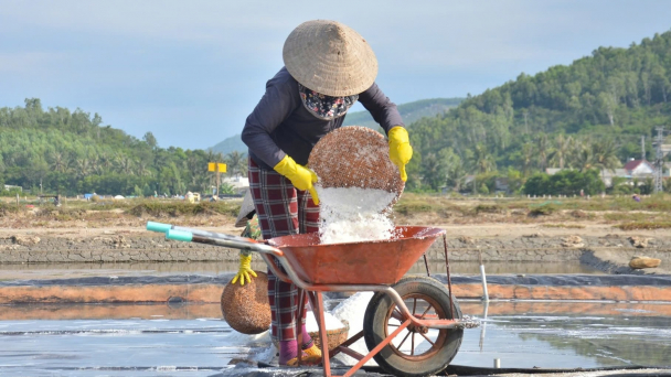 Quảng Ngãi đặt mục tiêu 100% diện tích muối sạch vào năm 2030