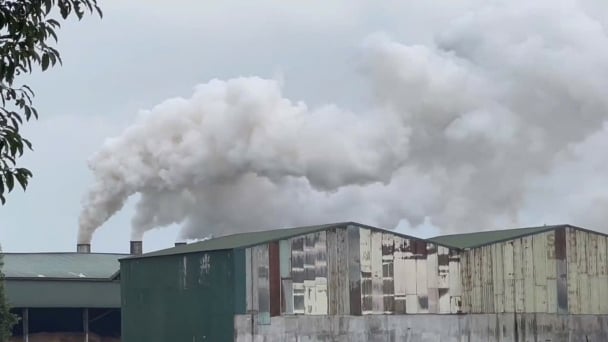 Phát hiện khí thải vượt quy chuẩn tại Nhà máy Wood Pellets Quảng Ngãi