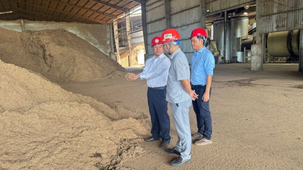 Khắc phục xong vi phạm, Nhà máy Wood Pellets vận hành thử nghiệm trở lại