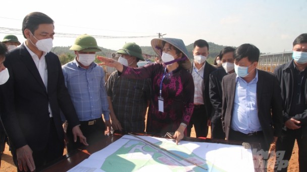 Khu lâm nghiệp công nghệ cao đánh thức giá trị rừng Nghệ An