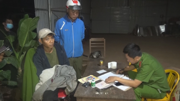 Tạm giữ hình sự một người trồng trên 1.000 cây cần sa